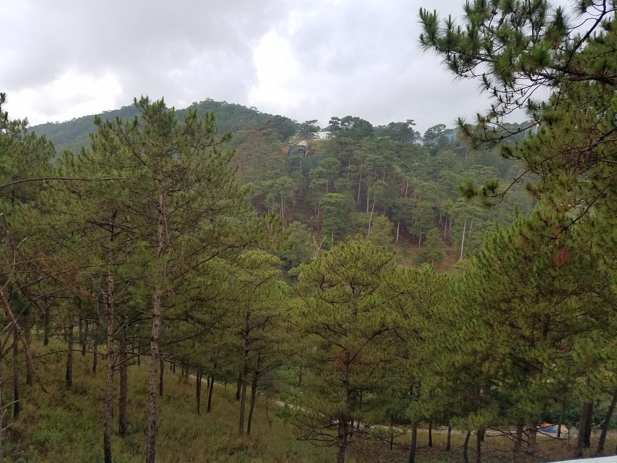 Lam Phan Hotel Villa Da Lat Esterno foto